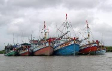 Tàu đánh cá của ngư dân Việt Nam. 

